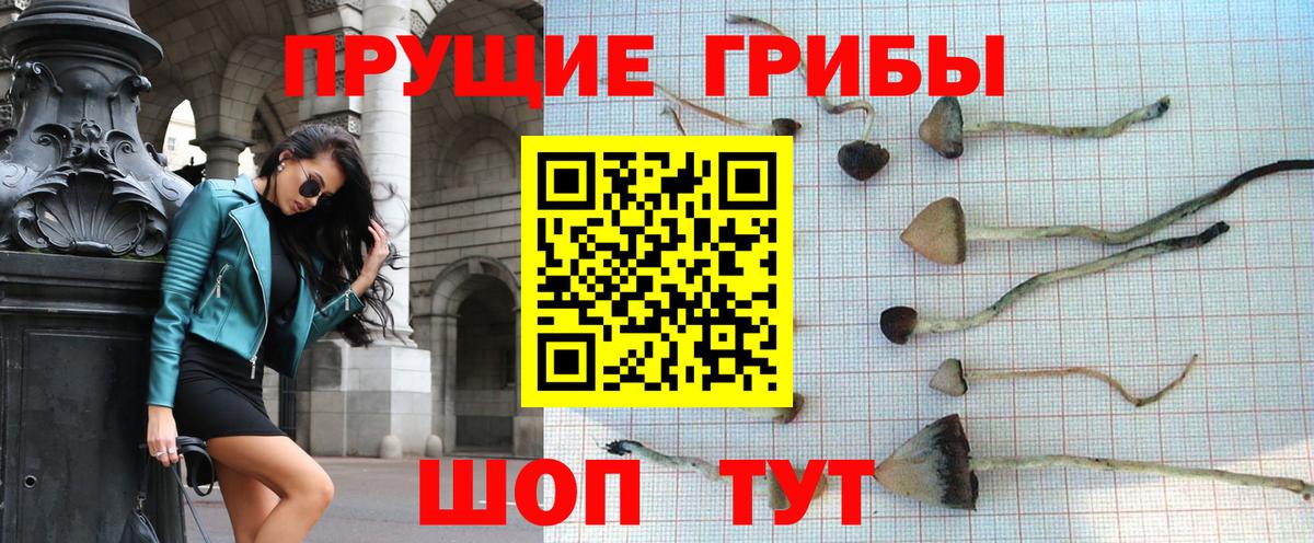 Тимашёвск  Галлюциногенные грибы Psilocybine cubensis  Вход с VPN  Галлюциногенные грибы MAGIC MUSHROOMS 