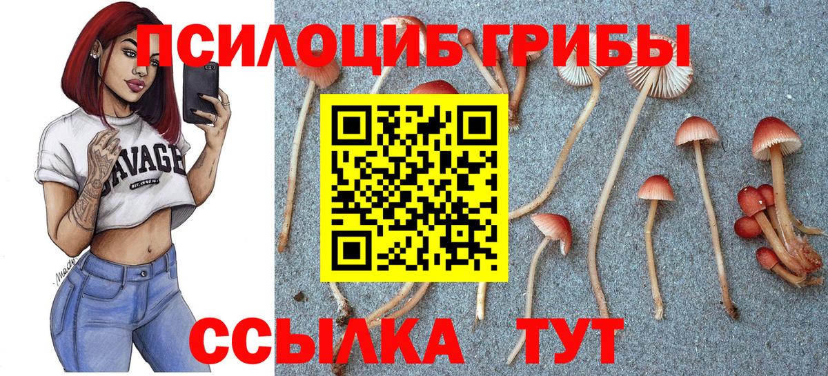 Галлюциногенные грибы MAGIC MUSHROOMS Тимашёвск